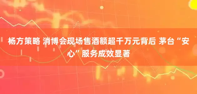 杨方策略 消博会现场售酒额超千万元背后 茅台“安心”服务成效显著