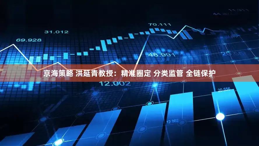 京海策略 洪延青教授：精准圈定 分类监管 全链保护