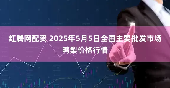 红腾网配资 2025年5月5日全国主要批发市场鸭梨价格行情