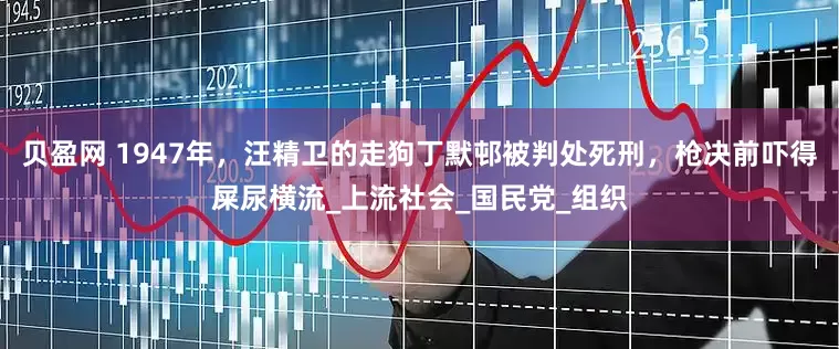贝盈网 1947年，汪精卫的走狗丁默邨被判处死刑，枪决前吓得屎尿横流_上流社会_国民党_组织