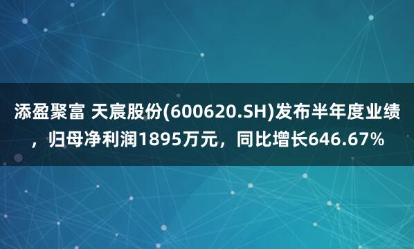 添盈聚富 天宸股份(600620.SH)发布半年度业绩，归母净利润1895万元，同比增长646.67%